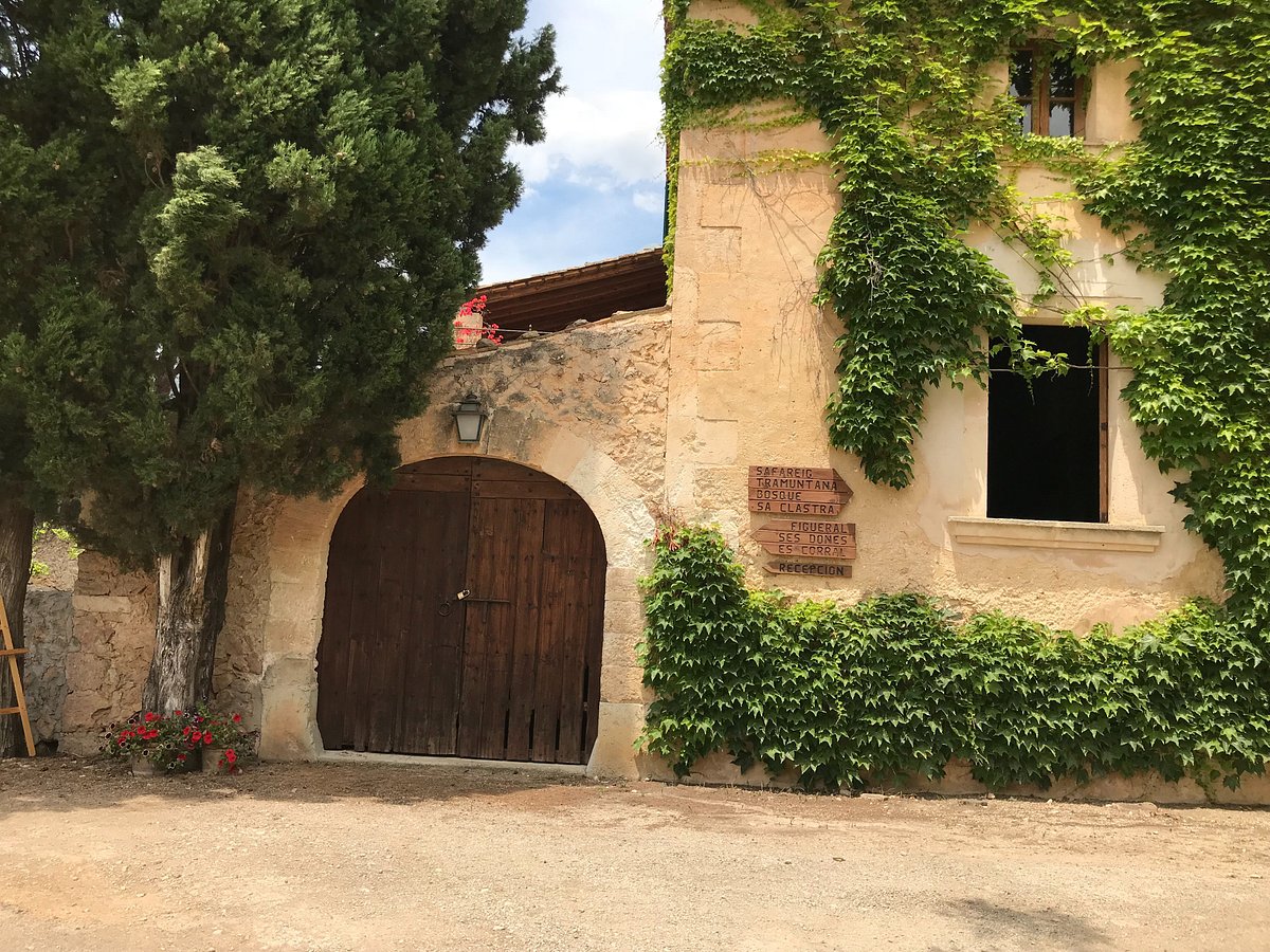 fangar-finca
